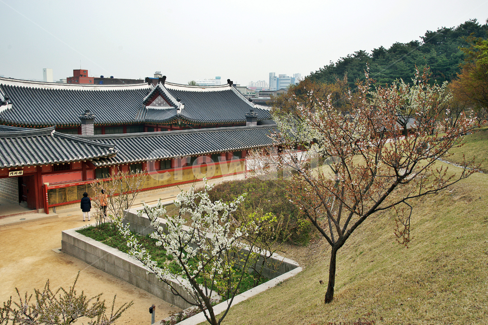화성행궁,후원,임시행궁,수원,정조,전각,조선시대,한국전통,한국문화,korean traditional,korean culture,랜드마크,landmark,tourist attraction,한국랜드마크,한국관광지,한국명소,korea landmark,korea tourist attraction