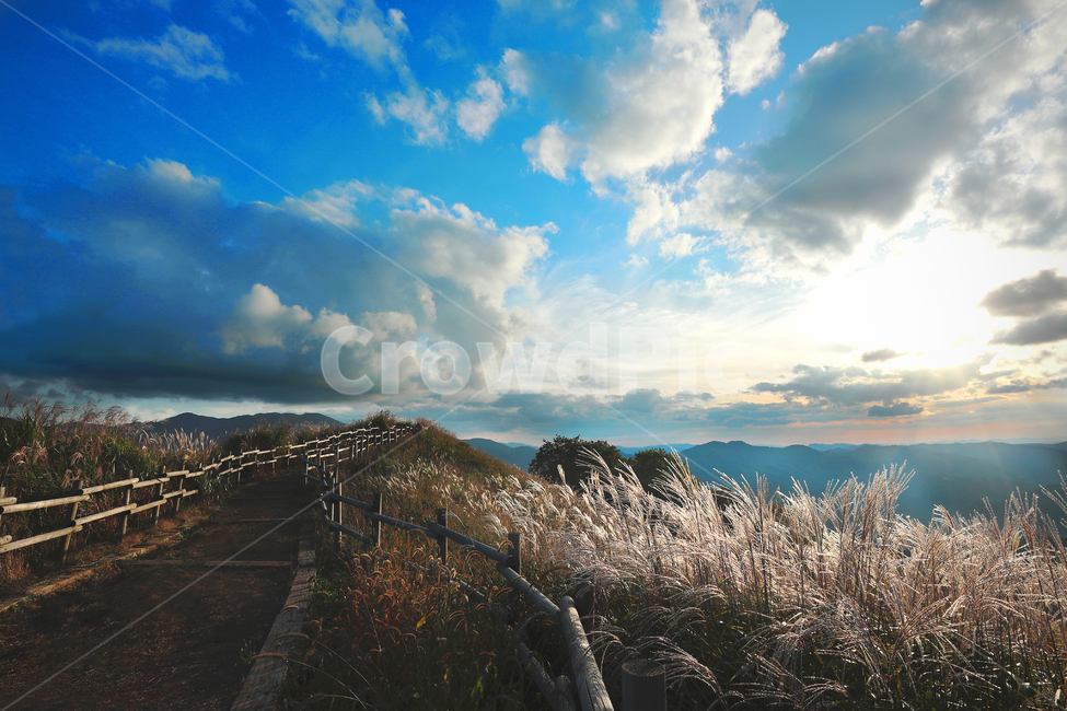 억새,가을,민둥산,억새축제,갈대밭,억새길,하늘,가을,계절,fall,autumn,season,자연,풍경,nature,landscape,한국자연풍경,한국자연경관,korea nature landscape,outdoors,옥외