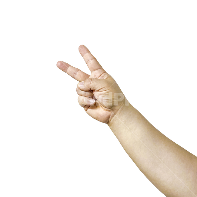 person,human,사람,인간,사람손,가위,가위바위보,사람손가락,신체일부,몸,body