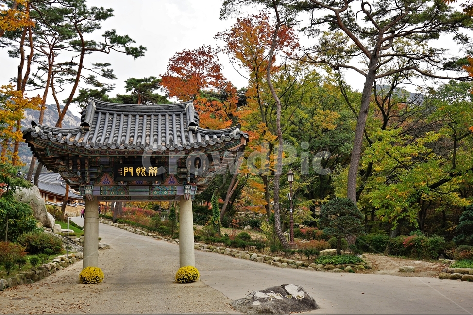 가을,사찰,진관사,절,단풍,해탈문,비구니,종교,기와,기둥,나무,소나무,temple,traditional,일주문,산문,첫번째문,현판,기와지붕,일심,한국전통건축,도량,불교,전통건축,기와집,지붕,전통,한옥,패턴,배경,전통적인,한국의,construction,한국전통,한국문화,koreantraditional,koreanculture,건축물,건물외관,exterior,building,structure,architecture,불교시설,종교시설,초파일,부처님오신날