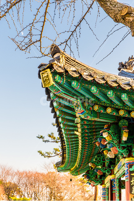 종각,단청,문양,무늬,사찰,한국전통,한국문화,korean traditional,korean culture,건축물,건물외관,exterior,building,structure,architecture,construction