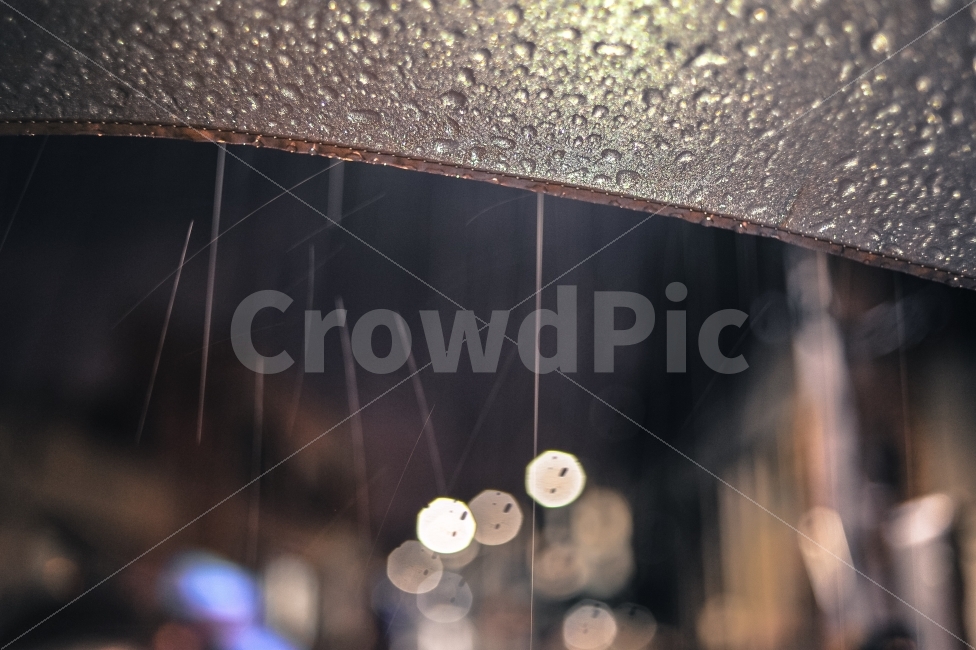 가을,비,빛,저녁,감성,야경,밤,풍경,nightscape,night,landscape,감성,sensible,feeling,비,비오는날,rain,rainy