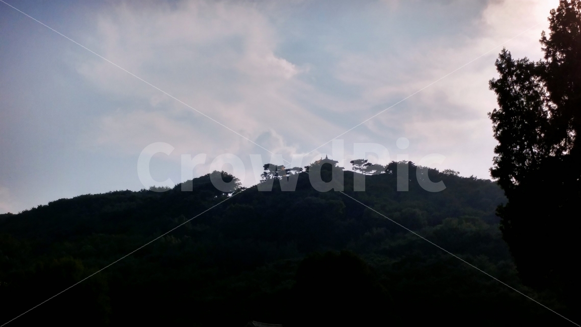 수원,하늘,나무,수원성,구름,자연,풍경,nature,landscape,한국자연풍경,한국자연경관,korea nature landscape,실루엣,그림자,silhouette,shadow,outdoors,옥외