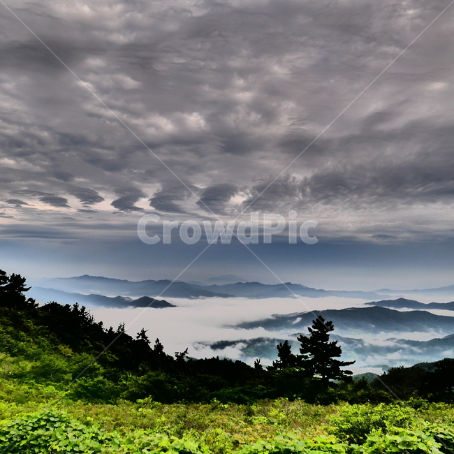 구름,산,정상,풍경,캠핑