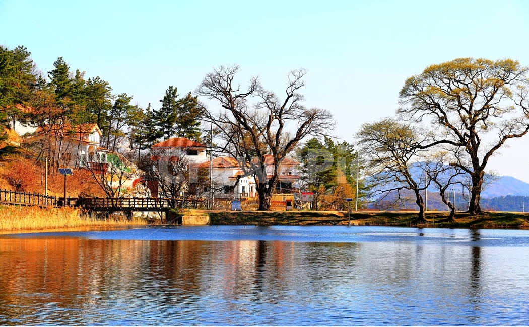 집,박곡리,저수지,왕버들,하늘,반곡지,물,자연,풍경,nature,landscape