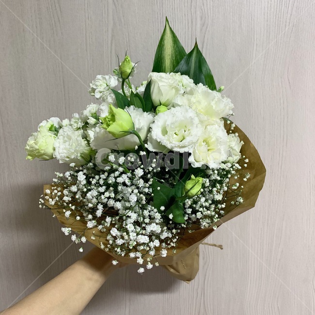 꽃,기념일,이벤트,플라워,선물,꽃선물,꽃,flower,기념일,축하,anniversary,congratulation,celebrate,celebration