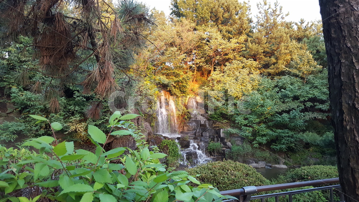 능허대공원,초가을,수목,수풀,폭포,earlyfall,trees,woods,waterfall