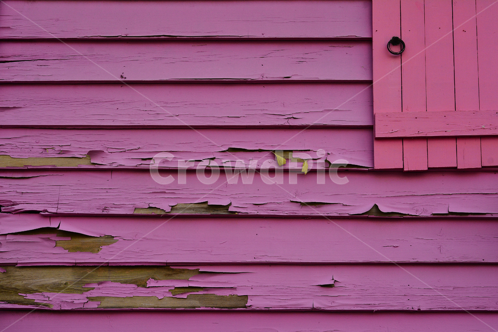 텍스쳐,패턴,나무,바탕,빈티지,배경,나뭇결,wood,백그라운드,질감,표면,texture,background,pattern,vintage,나이테,흔적,무늬,세월,추상,보라색,벗겨짐,퍼플,purple,텍스처,질감,패턴,texture,pattern
