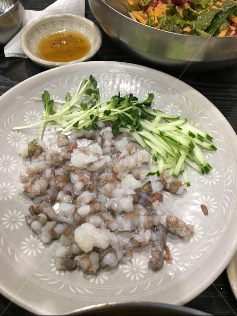 낙지,산낙지,음식,맛집,한국음식