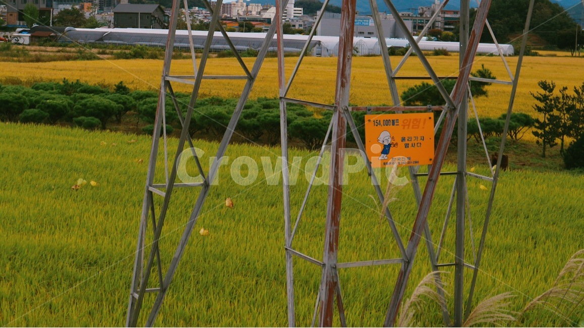 송전탑,논,밭,farm,야외,옥외