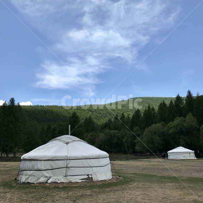 몽골,테를지,게르,자연,숲,camping