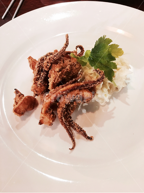 오징어튀김,오징어,오징어요리,데코레이션,플레이팅,음식,식재료,요리,food,cook,meal,dishes,food reserves
