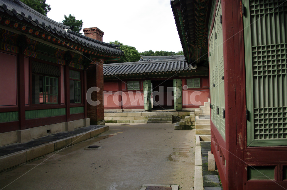 창덕궁,고궁,전각,한옥,전통가옥,기와지붕,건축,traditional,한국전통,한국문화,korean traditional,korean culture,랜드마크,landmark,tourist attraction,한국랜드마크,한국관광지,한국명소,korea landmark,korea tourist attraction,건축물,건물외관,exterior,building,structure,architecture,construction