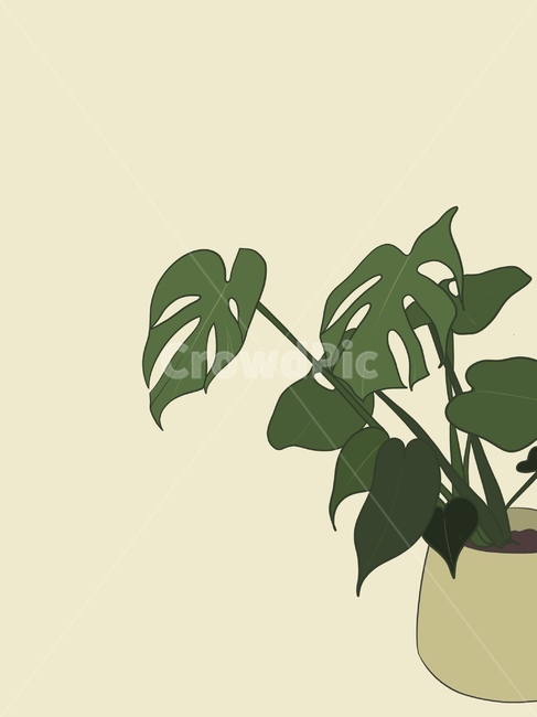 몬스테라,일러스트,나무일러스트,식물일러스트,잎일러스트,열대식물,tropical,garden,트로피칼,배경,트로피컬