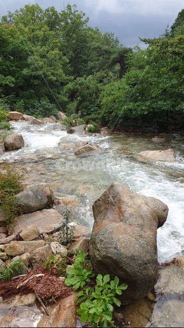 자연,숲,숲길,나무,흙,푸른숲,tree,산,계곡,물,nature,outdoors,stream,creek