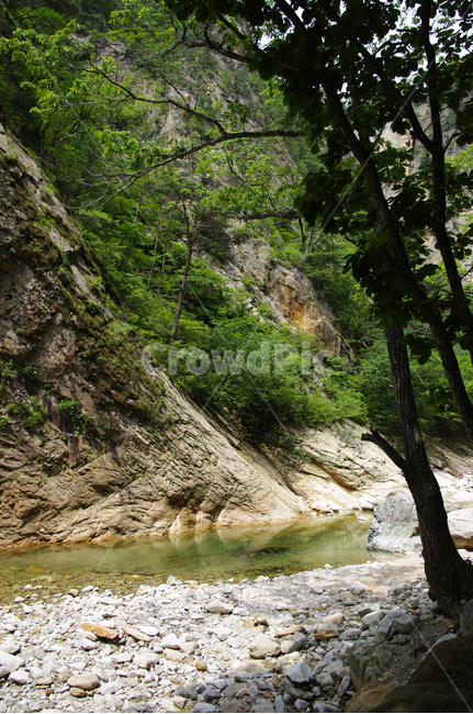 산,계곡,바위,암석,풍경,나무,설악산,자연,풍경,nature,landscape,outdoors,옥외,water,물