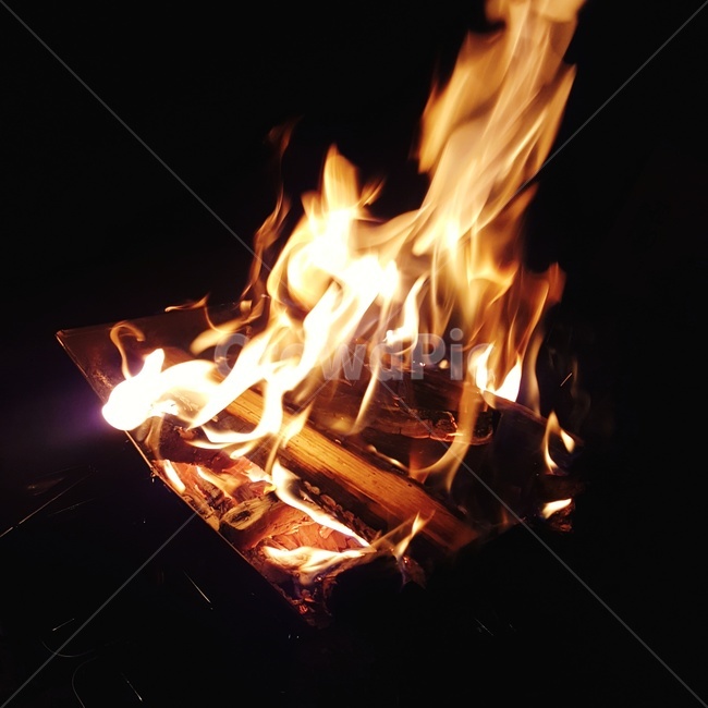 캠핑장,불멍,모닥불,불,장작,fire,불꽃