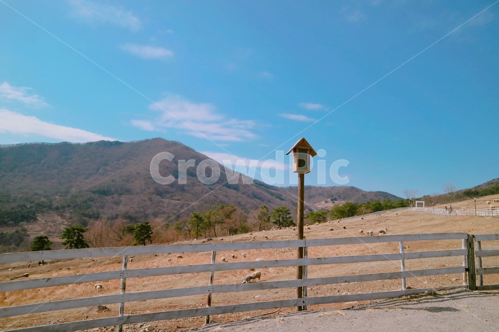 양떼목장,산,울타리,새집,하늘,산업,industry,industrial,목축업,목장,livestock farming,ranching,pasture