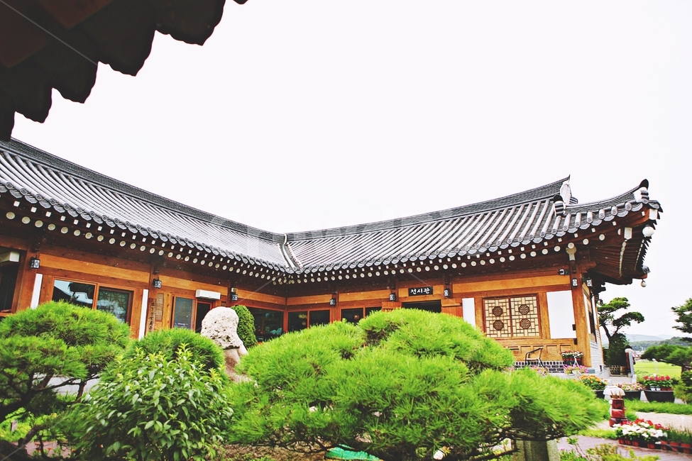 도솔미술관,미술관,한옥,한옥집,전통집,기와집,집,풍경,자연,식물,나무