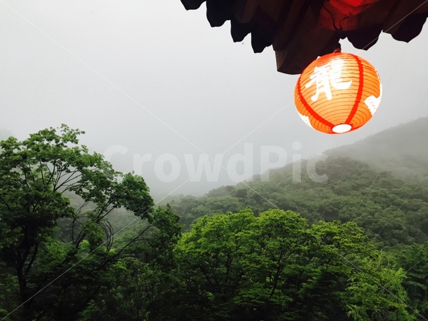 양평,용문사,여름날,비오는날,연등,여름,계절,summer,season,종교,신앙,religion,belief,faith