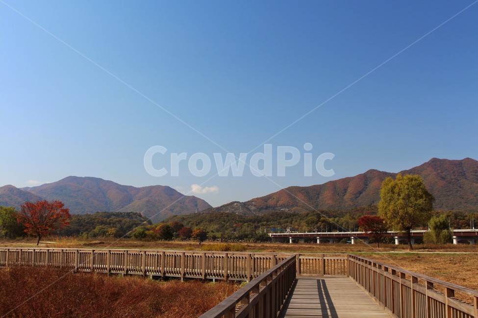 양평,두물머리,가을,남한강,산책,자연,풍경,nature,landscape,한국자연풍경,한국자연경관,korea nature landscape,railing,난간,bridge,다리,building,건물,boardwalk,산책로