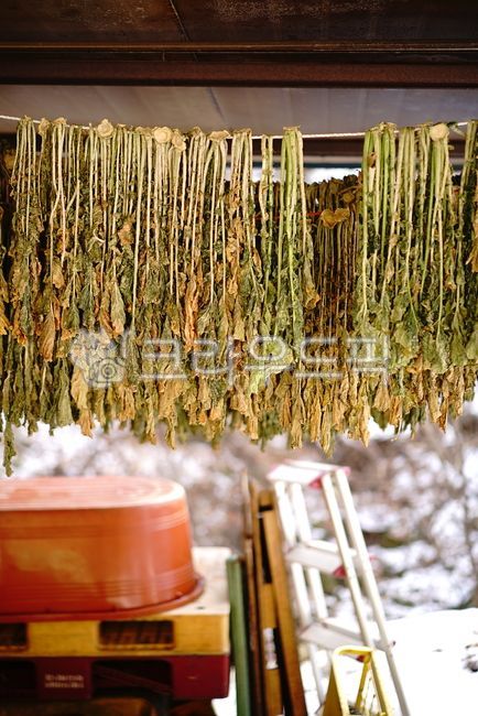 Ingredients,shiitake mushrooms,dried foods,radish greens,natural drying,food,organic,wellness,countryside,tradition