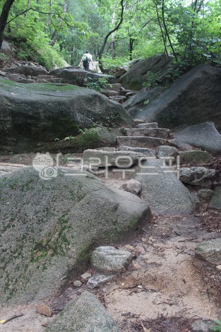 돌계단,등산,경사,자연,돌