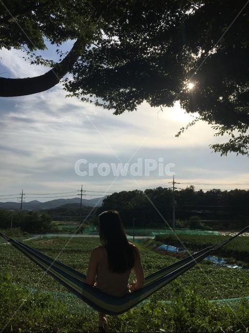 농촌,해먹,자연,풍경,나무,논,밭,여자,휴식