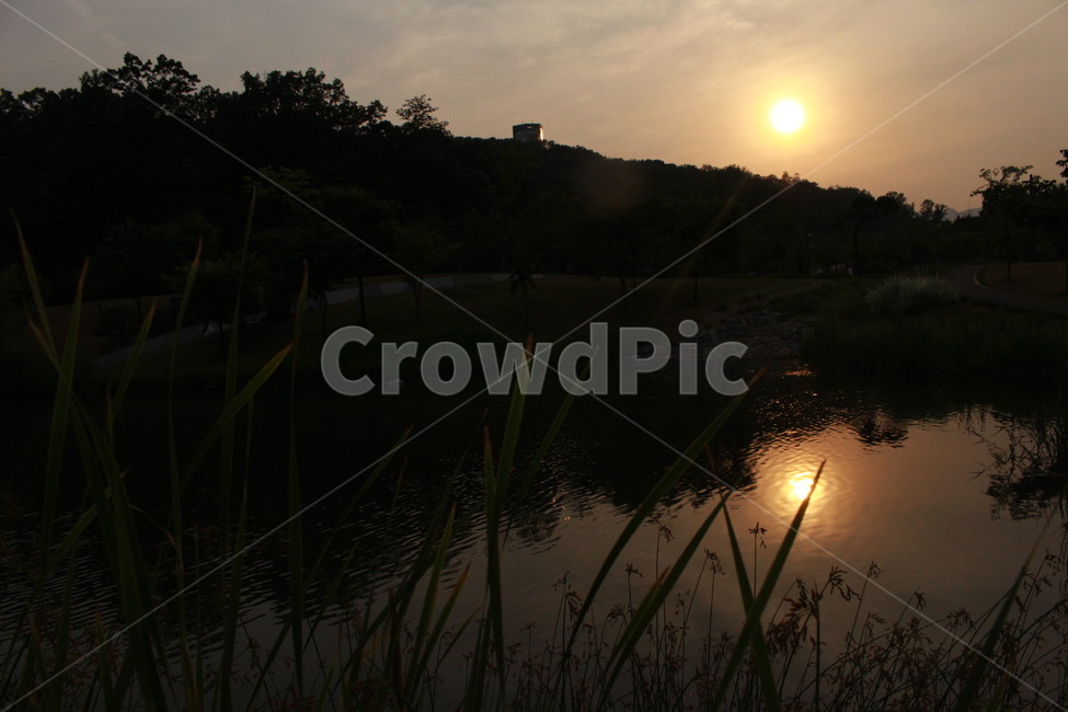 북서울꿈의숲,노을,휴식,일몰,휴일,나무,산책,공원,자연,풍경,nature,landscape,한국자연풍경,한국자연경관,korea nature landscape,light,빛,flare,플레어,sunlight,햇빛,outdoors,옥외,land,땅