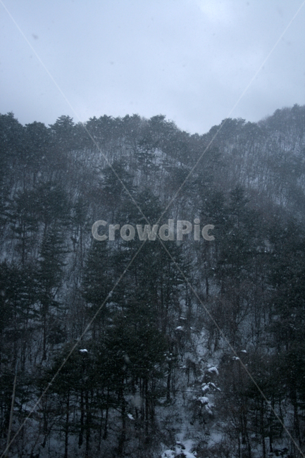 겨울,산,눈,winter,snow,겨울,계절,winter,season,자연,풍경,nature,landscape,outdoors,옥외,tree,나무,plant,식물