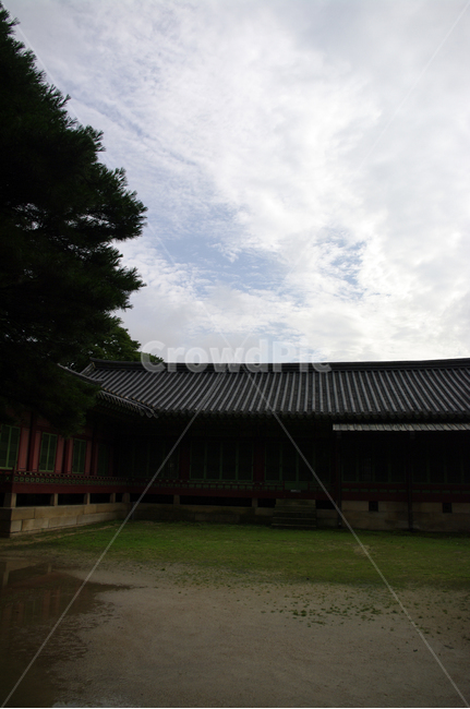 창덕궁,고궁,전각,한옥,전통건축,기와지붕,건축,traditional,한국전통,한국문화,korean traditional,korean culture,랜드마크,landmark,tourist attraction,한국랜드마크,한국관광지,한국명소,korea landmark,korea tourist attraction,건축물,건물외관,exterior,building,structure,architecture,construction