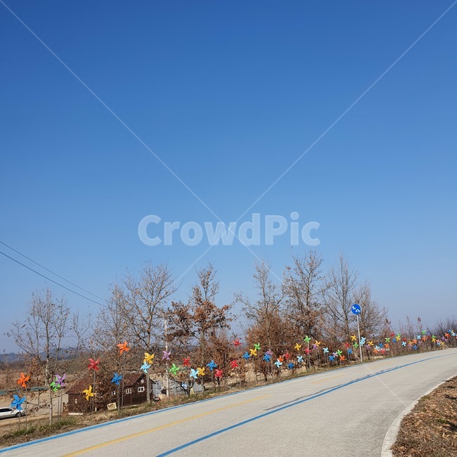 road,도로,asphalt,아스팔트,바람개비,pinwheel,자연,nature