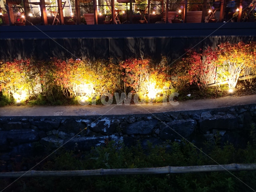 저녁,조명,실외조명,풍경,인테리어,야경,밤,풍경,nightscape,night,landscape