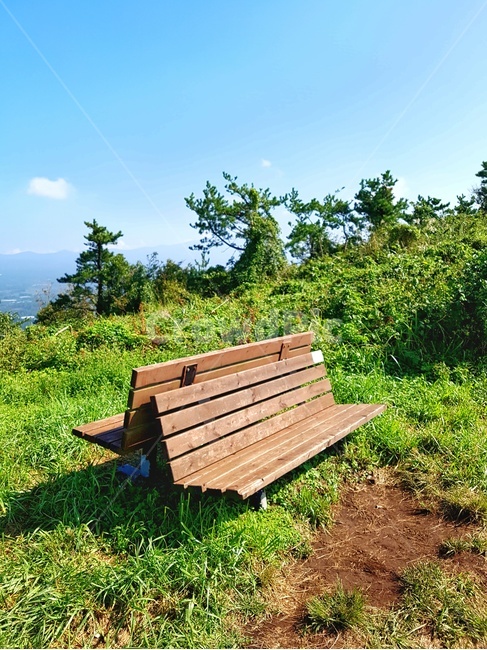 furniture,의자,벤치,풍경,자연,nature