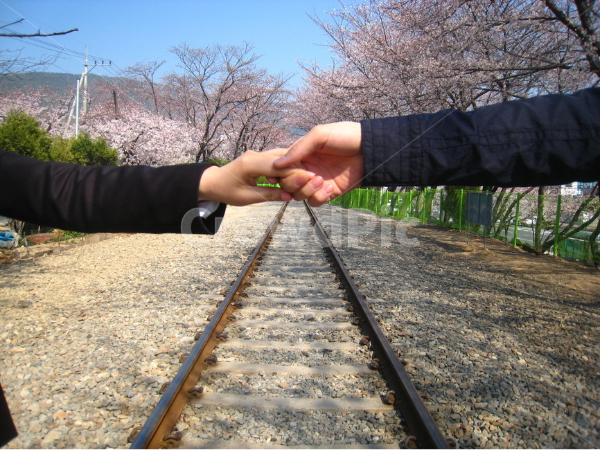 진해,경화역,벚꽃,기찻길,연인,손,railroad,hand,railroadtrack,cherryblossom,couple,사람,인물,인간,human,person,신체일부,몸,body,연인,커플,사랑,lover,couple,교통,교통수단,traffic,transportation