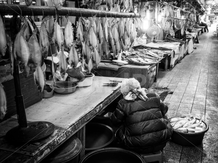 포항,죽도시장,시장,할머니,전통,삶,삶의현장,흑백,korea,monochrome,시장,마트,마켓,market,mart,market place,사람,인물,인간,human,person,노인,어르신,old man, senior citizen,흑백,모노톤,monochrome,black and white
