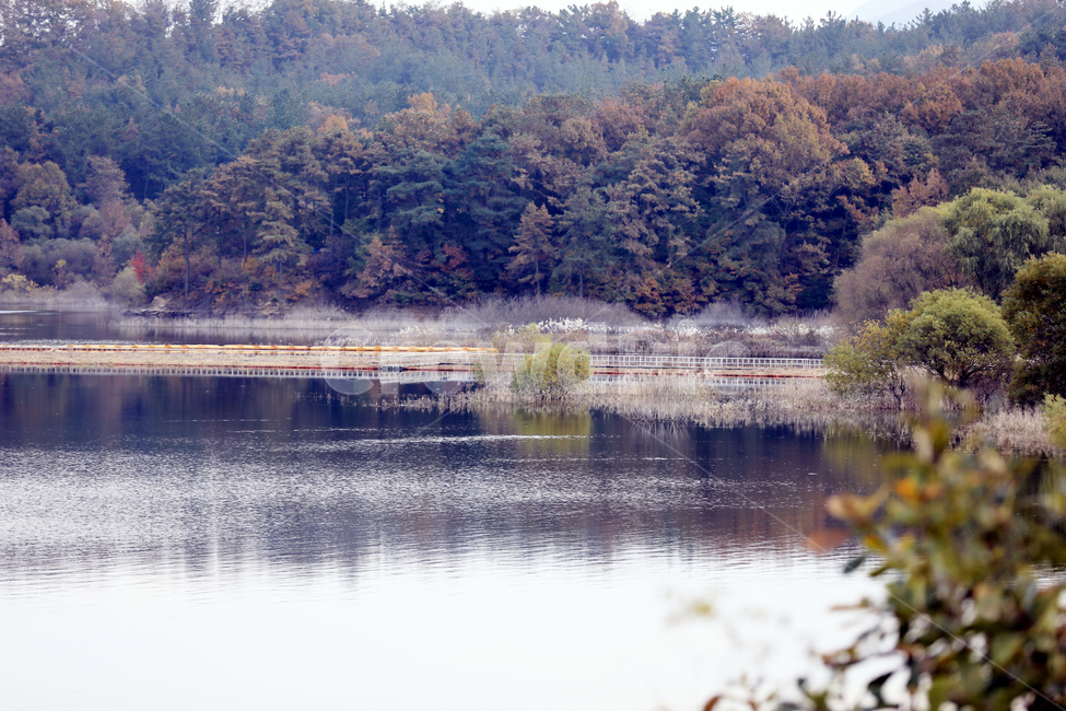 대천댐,물,가을,갈대,단풍,호수,자연,가을,계절,fall,autumn,season,자연,풍경,nature,landscape,한국자연풍경,한국자연경관,korea nature landscape,water,outdoors,옥외