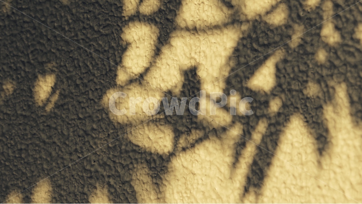 그림자,벽,햇빛,감성,오후,shadow,wall,emotion,실루엣,그림자,silhouette,shadow
