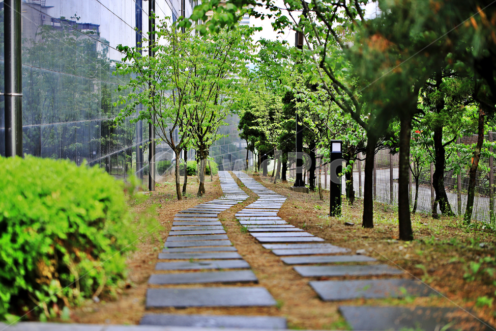 돌계단,공원산책,산책로,감성사진,비온후,식물,자연,plants,nature,나무,trees,wood