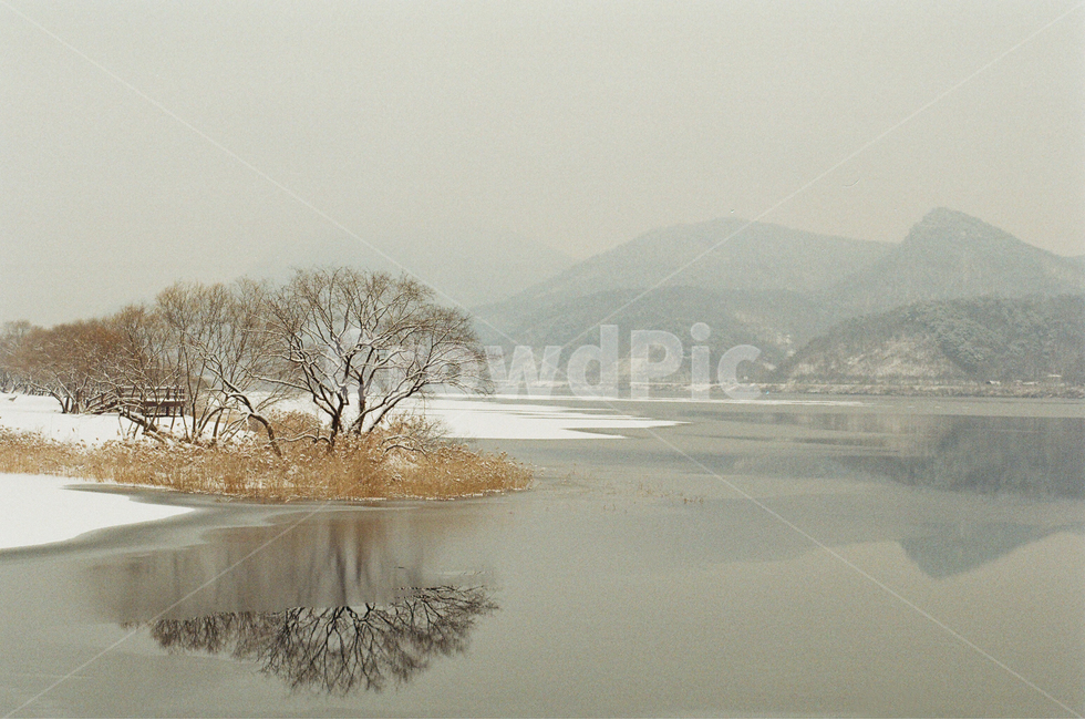 설경,풍경,눈,겨울,나무,강,호수,남양주,물의정원,필름,필름카메라,감성,겨울,계절,winter,season,자연,풍경,nature,landscape,한국자연풍경,한국자연경관,korea nature landscape,outdoors,옥외