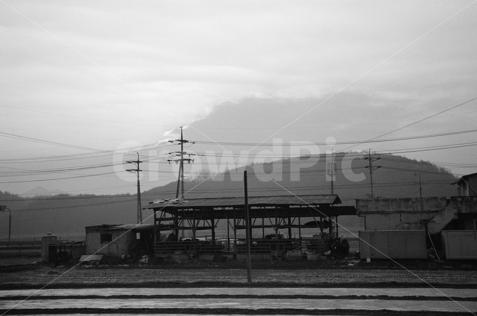 필름사진,고향,아침,풍경,아침풍경,안개,흑백,시골,마을,풍경,landscape,country,rural,town,흑백,모노톤,monochrome,black and white