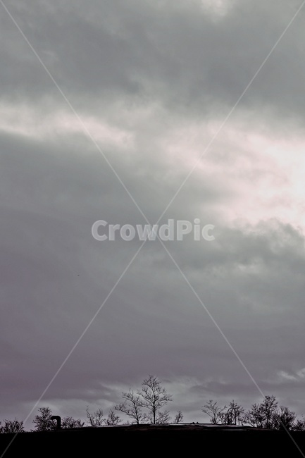 monochromephotograph,흑백사진,나무,그림자,실루엣,구름,하늘,tree,shadow,silhouette,sky,cloud,자연,풍경,nature,landscape,weather,날씨,outdoors,옥외