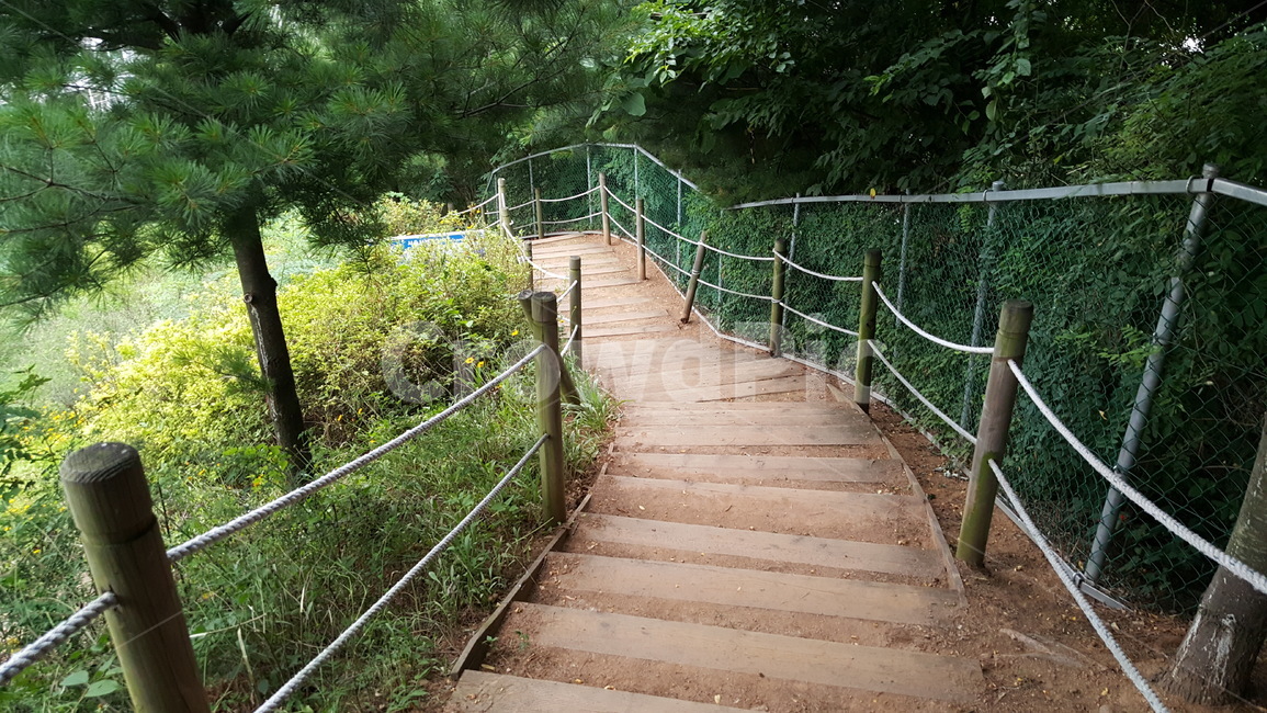 계단,산책로,길,힐링,숲,펜스,숲길,나무,trail,path,woods,stairs,rope,earlysummer,신록,산책,계절,나뭇잎