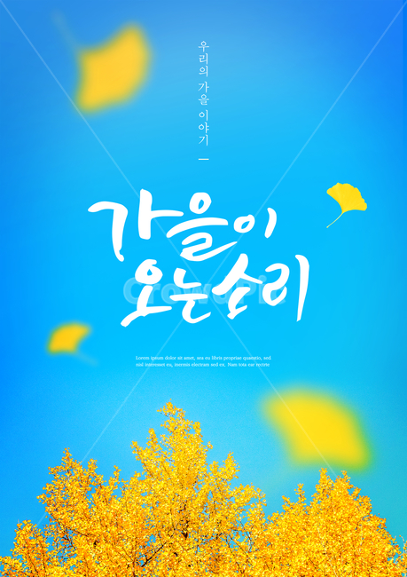 은행나무,은행잎,가을,감성,캘리,캘리그라피,손글씨,붓글씨,표지,브로슈어,전단지,카달로그,가을,계절,fall,autumn,season,색깔,색상,색채,색감,color sense,color sensitivity,feeling of color,캘리그라피,손글씨,calligraphy,poster,포스터,advertisement,광고,flyer,전단,paper,종이,brochure