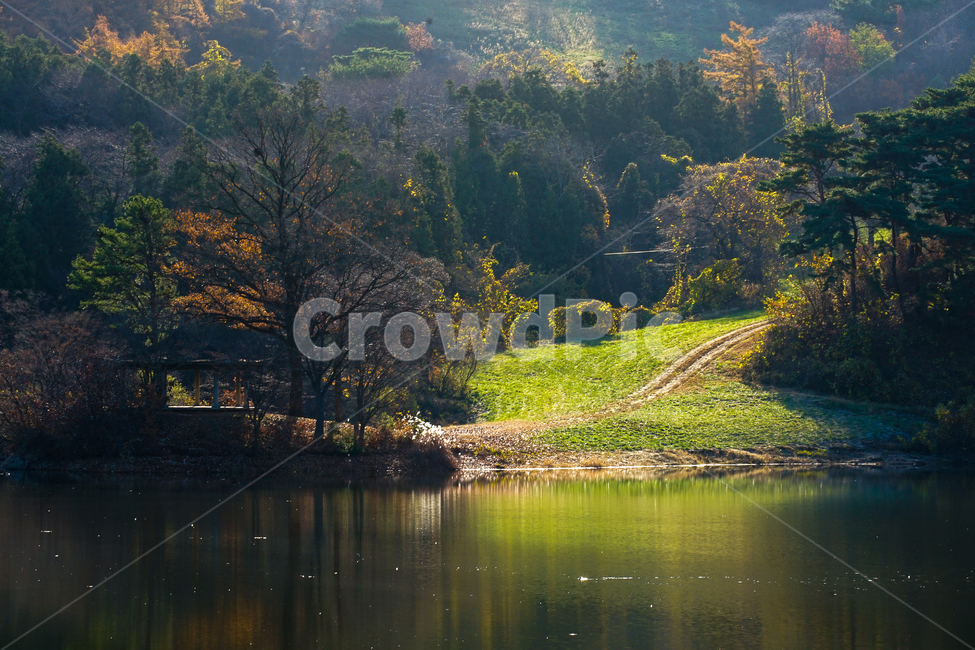 호수,가을,반영,투영,풍경,계절,단풍,나무,숲,가을,계절,fall,autumn,season,자연,풍경,nature,landscape,outdoors,옥외,scenery,water,물
