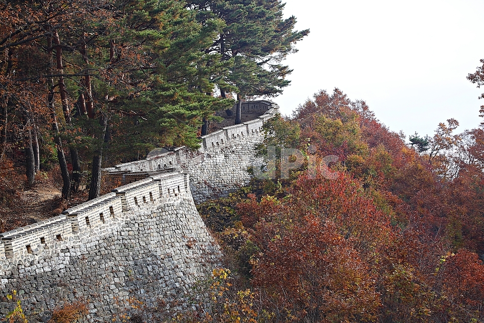 남한산성,성,성곽,단풍,낙엽,길,둘레길,숲,숲길,담,돌담,가을,자연,풍경,벽,울긋불긋,산성,식물,가을,계절,fall,autumn,season,한국전통,한국문화,korean traditional,korean culture,tree,나무,plant