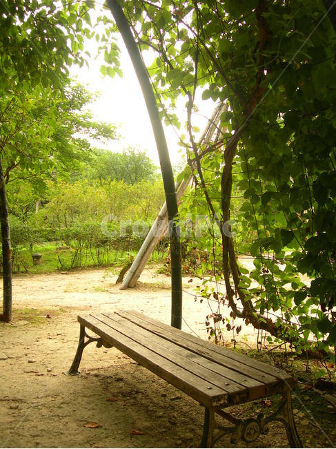 벤치,정원,공원,의자,나무,bench,garden,chair,tree,green,푸른,푸르른,녹색,초록색,초록,덩굴,꿈,자연,풍경,nature,landscape