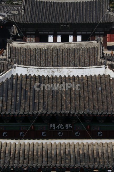 architecture,건축물,building,건물,palace,전통,랜드마크,창경궁,홍화문,명정전,기와,한옥,한국전통,한국문화,korean traditional,korean culture