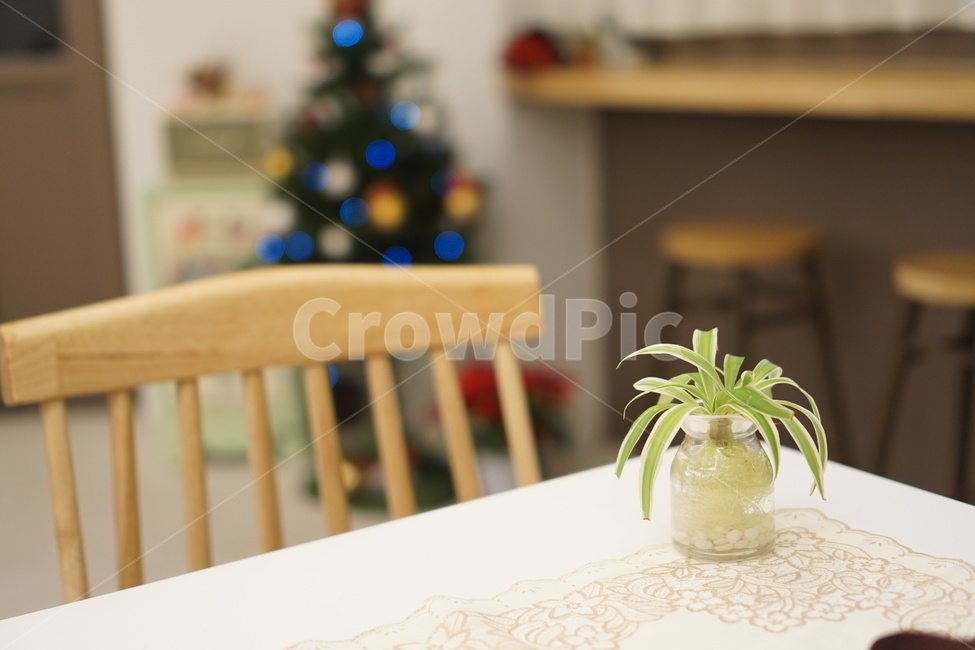 카페,화분,테이블,원목,plant,식물,cafe