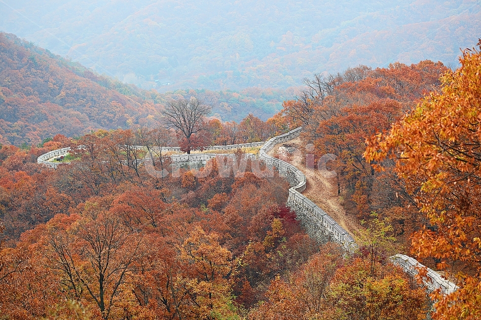 남한산성,성,성곽,단풍,낙엽,길,둘레길,숲,숲길,담,돌담,가을,자연,풍경,벽,울긋불긋,산성,식물,가을,계절,fall,autumn,season,nature,outdoors,옥외,mountain,산,plant,tree,나무